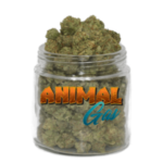 Acheter Animal Gas Weed | Cannabis Puissant et Relaxant – smokparadise.shop