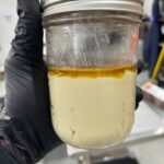 Banana Conda Live Rosin