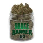 Bruce Banner Weed | Acheter Cannabis Puissant et Créatif – smokparadise.shop