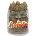 Gelato #33 Weed – Une Fleur de Cannabis Gourmande et Puissante à 20% de THC