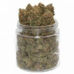 Godfather OG Weed – Une Beuh Relaxante et Puissante à 19% de THC pour la Détente Suprême