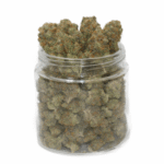 King TutKing Tut Weed – Cannabis Sativa énergisant à 20 % THC pour créativité et bonne humeur - smokparadise.shop