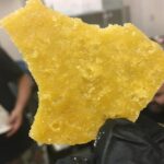 Sour Banana Sherbet Live Resin