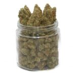 White Cheese Weed 19% – Cannabis Relaxant au Goût Fromagé | Acheter Beuh Unique